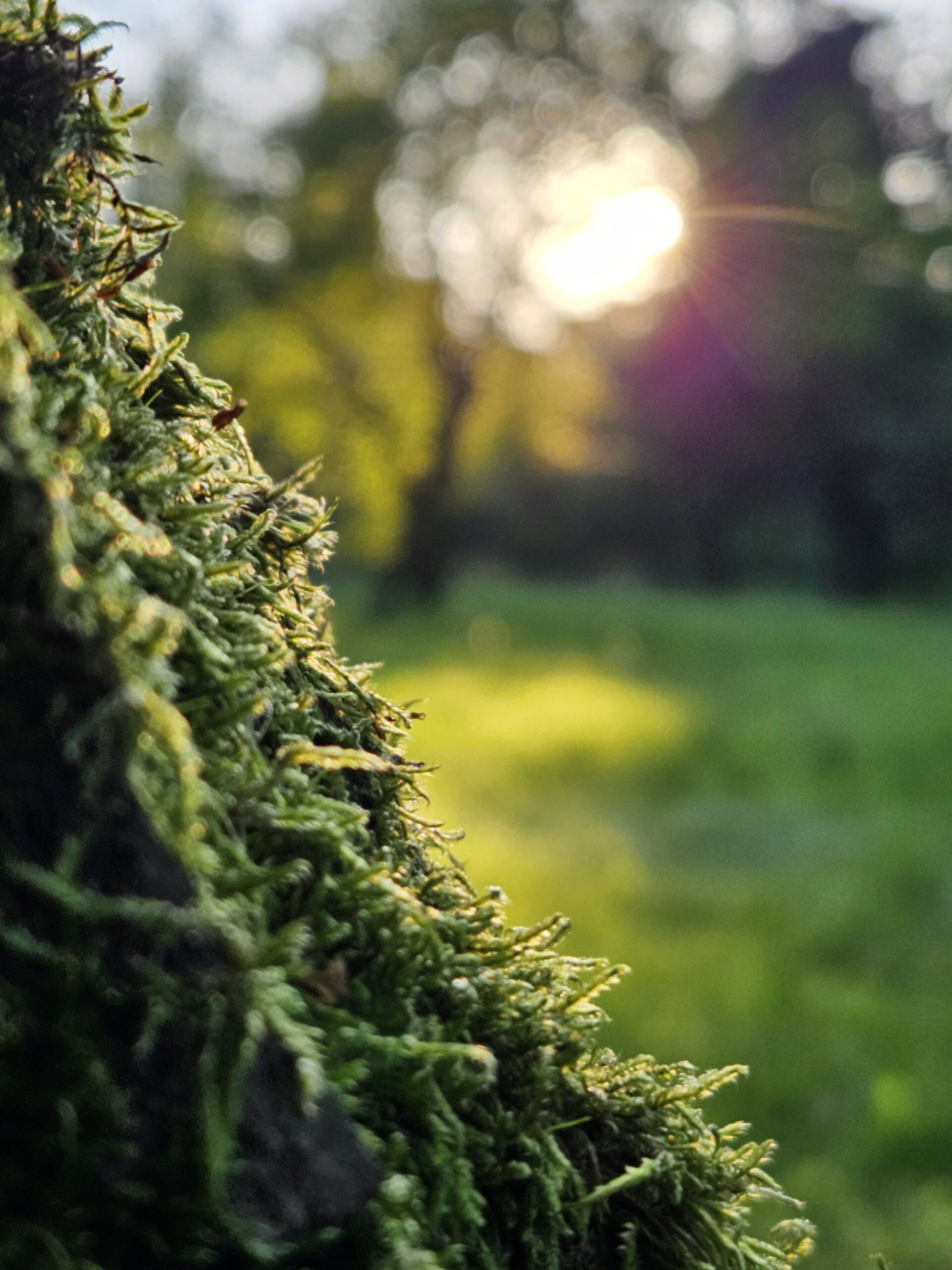 Przykładowe zdjęcie do odczytu